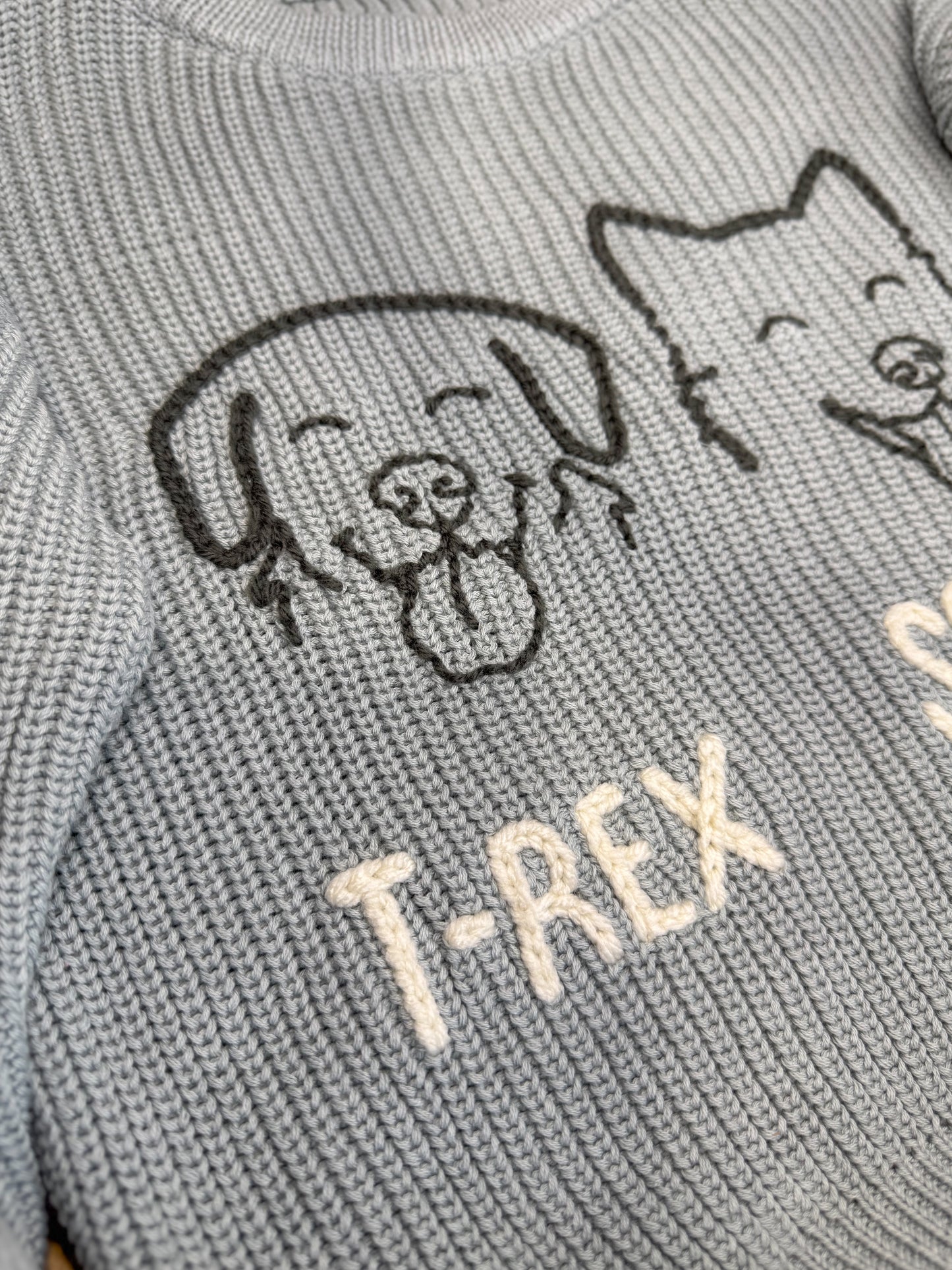 Custom Pet Outline Sweater - Big Kids